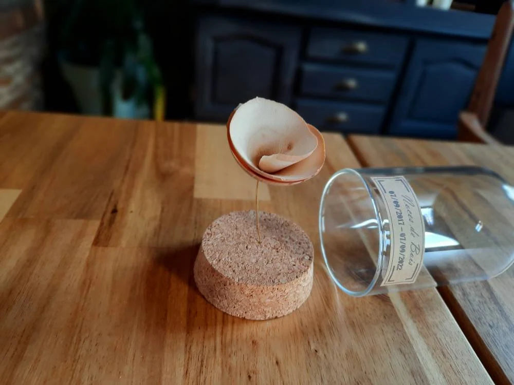 Cadeau noces de bois - 5 ans de mariage - cloche en verre