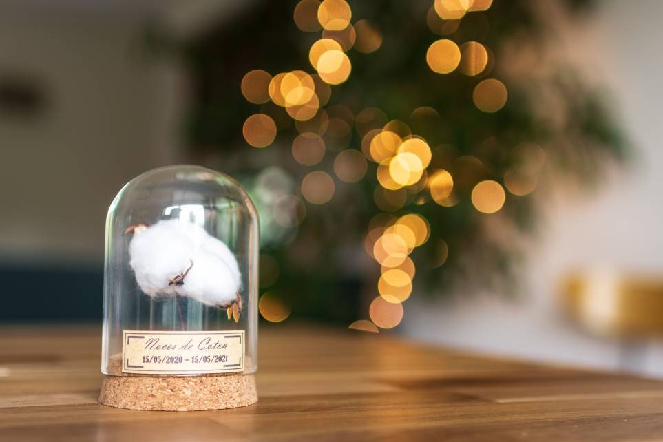 Pack noces de froment - 3 ans de mariage - Cloche en verre