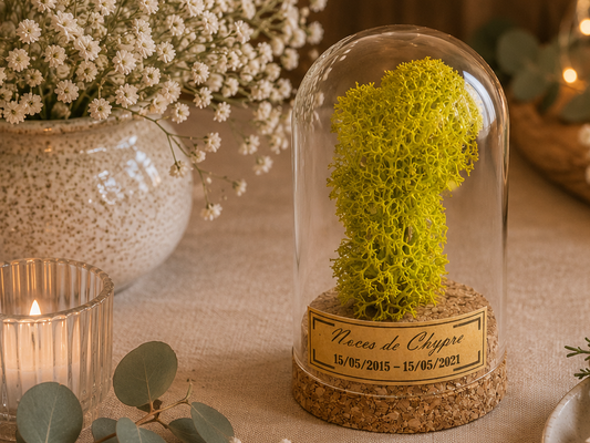 Cadeau noces de Chypre - 6 ans de mariage - cloche en verre